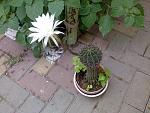     
: 03072011209.jpg
: 31
:	170.0 
ID:	2832550