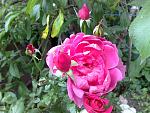     
: 030720111032.jpg
: 15
:	157.3 
ID:	2834903