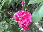     
: 030720111035.jpg
: 9
:	161.7 
ID:	2834904