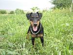     
: P6255857.jpg
: 17
:	246.3 
ID:	2835529