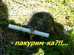     
: img_16609868_2088_1.jpg
: 9
:	32.0 
ID:	284027