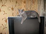     
: IMG_0435-1.jpg
: 22
:	48.9 
ID:	284047