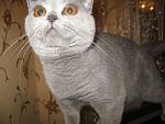     
: IMG_0439-1.jpg
: 17
:	58.7 
ID:	284048