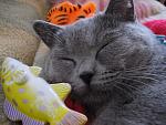     
: 25 03 2008 103-2.jpg
: 19
:	66.2 
ID:	284057