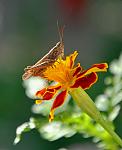     
: DSC_0163.jpg
: 25
:	65.0 
ID:	2842341