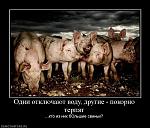     
: 774746_odni-otklyuchayut-vodu-drugie-pokorno-terpyat.jpg
: 69
:	73.7 
ID:	2842935