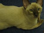     
: IMG_7961.jpg
: 33
:	109.4 
ID:	2843601