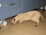     
: IMG_7959.JPG
: 37
:	190.2 
ID:	2843603