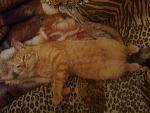     
: z_3f2d5c30.jpg
: 53
:	140.8 
ID:	2844997
