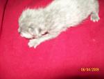     
: 100_1162.jpg
: 24
:	59.3 
ID:	284831