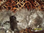     
: 100_1193  1.jpg
: 55
:	62.3 
ID:	284841