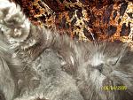    
: 100_1195 1.jpg
: 40
:	61.9 
ID:	284843