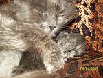     
: 100_1201 1.jpg
: 47
:	139.4 
ID:	284846