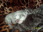     
: 100_1204  1.jpg
: 45
:	114.8 
ID:	284849