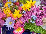     
: 0f54aaed-c0ab-4d10-a540-7f9c375bcb3f.jpg
: 6
:	187.6 
ID:	2848980