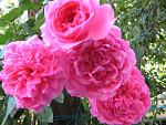     
: IMG_0422.JPG
: 13
:	68.7 
ID:	2852952