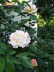     
: IMG_3113.JPG
: 7
:	61.7 
ID:	2852963