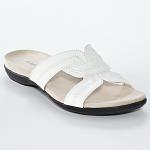     
: 744139_White.jpg
: 40
:	48.7 
ID:	2855394