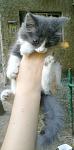     
: 10072011445.jpg
: 70
:	57.7 
ID:	2859561