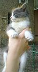     
: 10072011443.jpg
: 64
:	61.0 
ID:	2859562