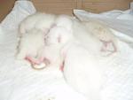     
: P5290020.JPG
: 50
:	21.6 
ID:	2859689