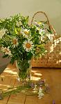     
: 0_61438_da81c157_orig.jpg
: 6
:	112.6 
ID:	2861877