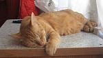     
: IMG_0003.jpg
: 27
:	90.4 
ID:	2862145