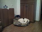     
: Фото0009.jpg
: 25
:	91.9 
ID:	2863620