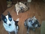     
: Фото0012.jpg
: 33
:	105.3 
ID:	2863628
