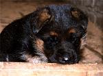    
: 9b97724bc872.jpg
: 10
:	61.7 
ID:	2864382