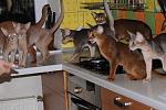     
: DSC_1432.jpg
: 64
:	136.9 
ID:	2864502