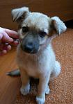     
: P1100628 - копия.JPG
: 26
:	216.9 
ID:	2864734
