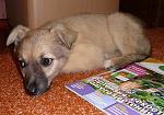     
: P1100640 - копия.JPG
: 24
:	214.1 
ID:	2864735
