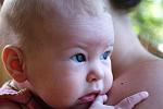     
: DSC06292.jpg
: 71
:	83.8 
ID:	2864922