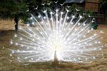     
: 137990_235053.jpg
: 30
:	86.9 
ID:	287123