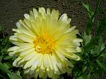     
: S4025026.jpg
: 9
:	133.9 
ID:	2874607
