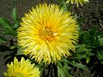     
: S4025025.jpg
: 8
:	178.2 
ID:	2874609