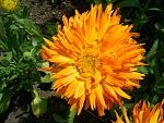     
: S4025027.jpg
: 8
:	157.7 
ID:	2874613