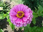     
: S4025033.jpg
: 5
:	172.3 
ID:	2874693