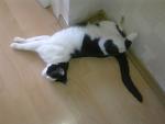     
: Фото0183.jpg
: 16
:	50.6 
ID:	2874781