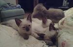     
: 23062011711.jpg
: 28
:	79.1 
ID:	2875783