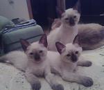    
: 23062011712.jpg
: 28
:	82.4 
ID:	2875784