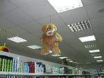     
: IMG_2406.jpg
: 136
:	102.7 
ID:	2875985