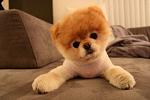     
: c94693139933.jpg
: 7
:	85.2 
ID:	2877130