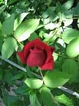     
: IMG_3582.JPG
: 5
:	54.4 
ID:	2878295