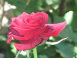    
: IMG_4185.JPG
: 6
:	46.0 
ID:	2878303