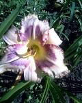     
: Фото042.jpg
: 13
:	111.2 
ID:	2878931