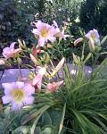     
: Фото056.jpg
: 12
:	137.9 
ID:	2878932
