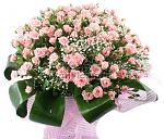     
: 768b37fa0501.jpg
: 16
:	57.5 
ID:	2880295