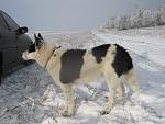     
: IMG_0607.jpg
: 43
:	126.8 
ID:	2886686
